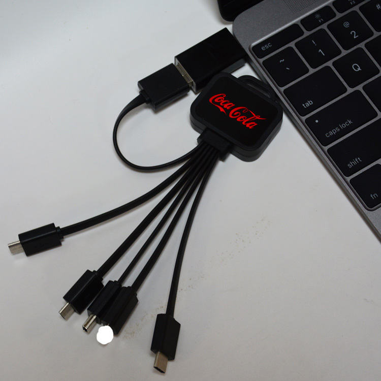 LED Light Up Logo 5 In 1 Multi USB Charging Cable